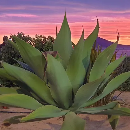 Lejlighed Place Wifi Fibra